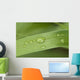 Close Up Of Water Droplets On A Blade Of Grass Wall Mural