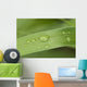 Close Up Of Water Droplets On A Blade Of Grass Wall Mural