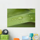 Close Up Of Water Droplets On A Blade Of Grass Wall Mural