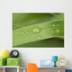 Close Up Of Water Droplets On A Blade Of Grass Wall Mural