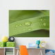 Close Up Of Water Droplets On A Blade Of Grass Wall Mural