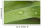 Close Up Of Water Droplets On A Blade Of Grass Wall Mural
