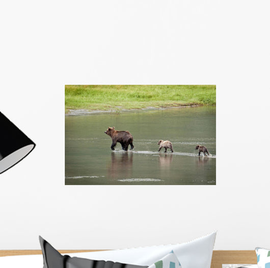 Brown Bear Sow Walks Across A Stream With Her Spring Cubs Wall Mural
