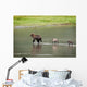 Brown Bear Sow Walks Across A Stream With Her Spring Cubs Wall Mural