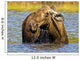 Moose Feeding In A Pond In Denali National Park & Preserve Wall Mural