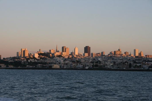 San Fransisco Skyline 2 Wall Decal