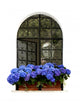 Blue Azaleas Window Wall Decal