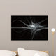 neuron fractal flame Wall Mural