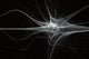 neuron fractal flame Wall Mural