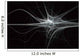 neuron fractal flame Wall Mural