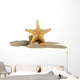Sand and Starfish Wall Decal