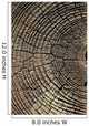 Old Pine Tree Cut