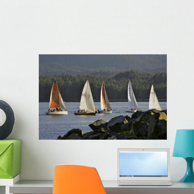Sailboats Race Competition near Wall Mural shown on a wall
