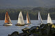 Sailboats Race In Competition Near Ketchikan, Alaska During Summer Wall Mural
