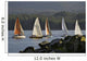 Sailboats Race In Competition Near Ketchikan, Alaska During Summer Wall Mural