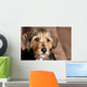 Cute Mixed Breed Pup Wall Mural