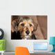 Cute Mixed Breed Pup Wall Mural