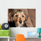 Cute Mixed Breed Pup Wall Mural