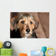 Cute Mixed Breed Pup Wall Mural