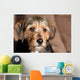 Cute Mixed Breed Pup Wall Mural