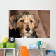 Cute Mixed Breed Pup Wall Mural