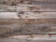 timber Wall Mural