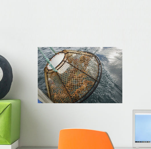 Crab Pot with Brown Wall Decal
