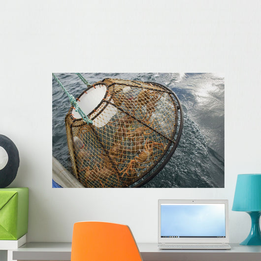 Crab Pot with Brown Wall Decal