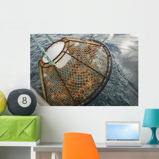 Crab Pot with Brown Wall Decal