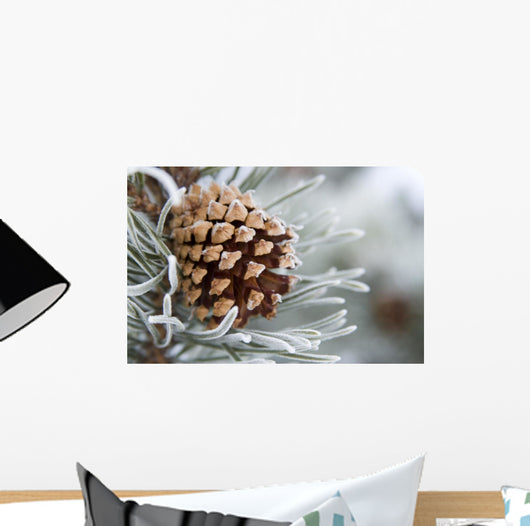 Close-Up Image Of Frost-Covered Pine Cone On Branch In Winter Wall Mural