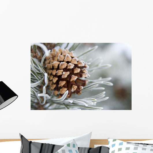 Close-Up Image Of Frost-Covered Pine Cone On Branch In Winter Wall Mural