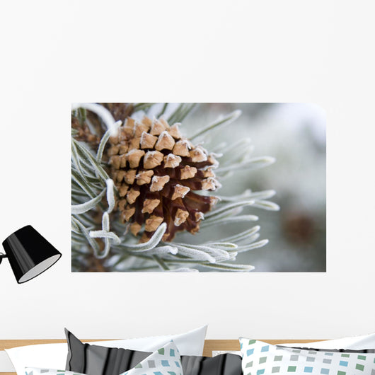 Close-Up Image Of Frost-Covered Pine Cone On Branch In Winter Wall Mural