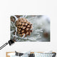 Close-Up Image Of Frost-Covered Pine Cone On Branch In Winter Wall Mural