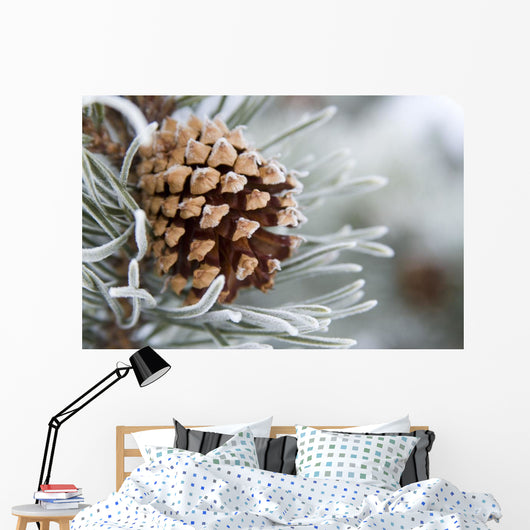 Close-Up Image Of Frost-Covered Pine Cone On Branch In Winter Wall Mural