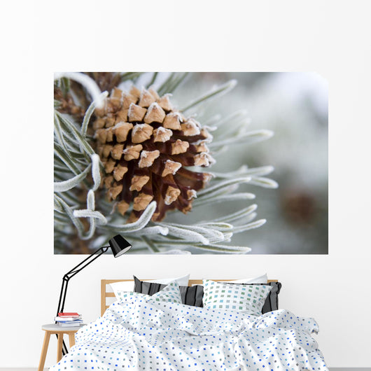 Close-Up Image Of Frost-Covered Pine Cone On Branch In Winter Wall Mural
