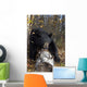 Black Bear Stepping Over Log In Forest Southcentral Alaska Autumn Wall Mural