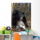 Black Bear Stepping Over Log In Forest Southcentral Alaska Autumn Wall Mural