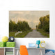 Rural Road Leading To View Of Chugach Mountains Wall Mural
