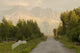 Rural Road Leading To View Of Chugach Mountains Wall Mural