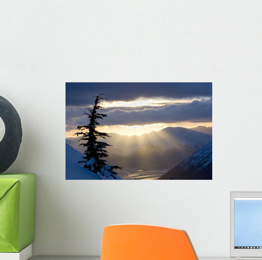 Sun Rays Shinning through Wall Decal