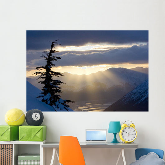 Sun Rays Shinning through Wall Decal