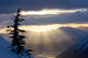 Sun Rays Shinning through Wall Decal