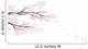 sakura Wall Decal