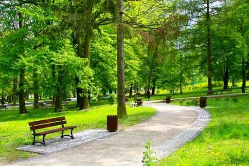 Beautiful Park Wall Decal