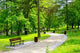 Beautiful Park Wall Decal