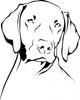 Weimaraner Wall Decal