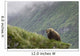 A Male Brown Bear Stands On A Grassy Ridge On An Island In Amalik Bay Wall Mural