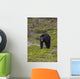 Black Bear Foraging For Food At Jasper National Park Spring Wall Mural