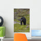 Black Bear Foraging For Food At Jasper National Park Spring Wall Mural