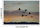 Flock Of Flying Sandhill Cranes At Sunset Wall Mural